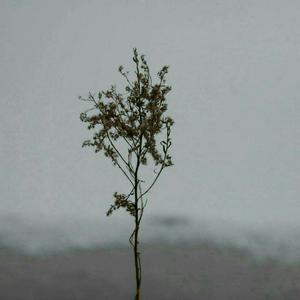 公翁⋯好舒服⋯好紧漫画
