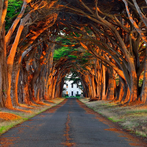 公翁⋯好舒服⋯好紧漫画
